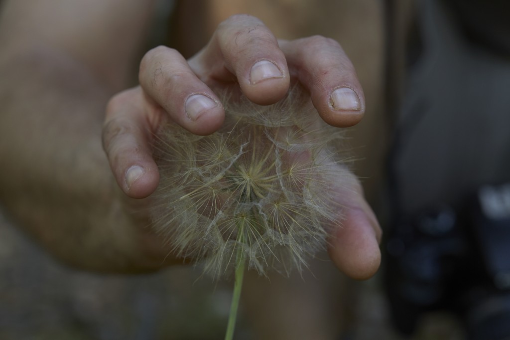 ©MANUELA MARQUES 3_COURTESY GAL. ANNE BARRAULT