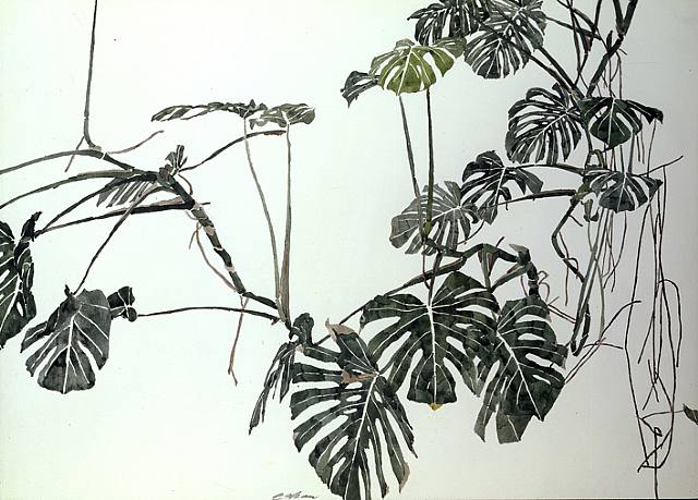artwork_images_140275_382388_sam-szafran