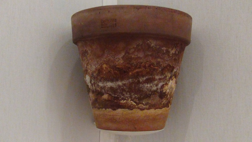 DSC05502