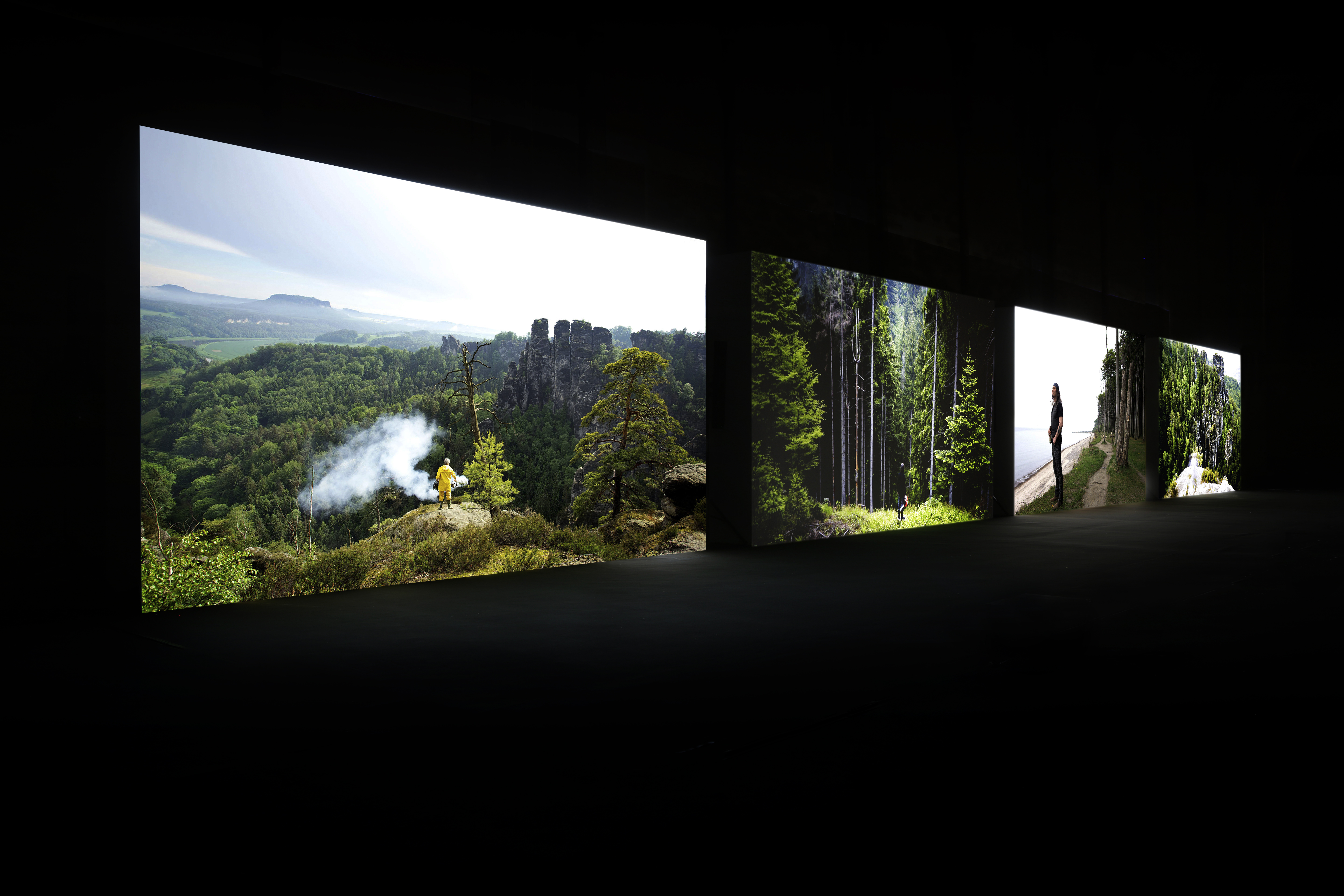 Julian Rosefeldt, My home is a dark and cloudhung land, 2011, crédit Nicolas Brasseur, Festival international d'art de Toulouse, 2013 (1)