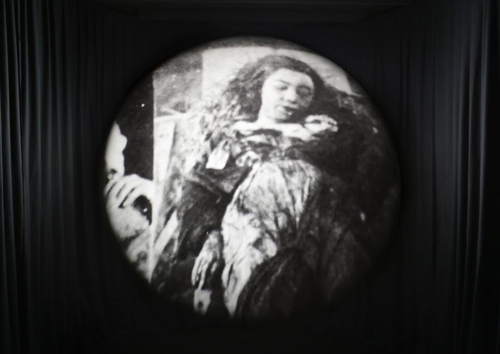 Lindsay Seers, One of Many, 2013, crédit Nicolas Brasseur, Festival international d'art de Toulouse, 2013 (3)