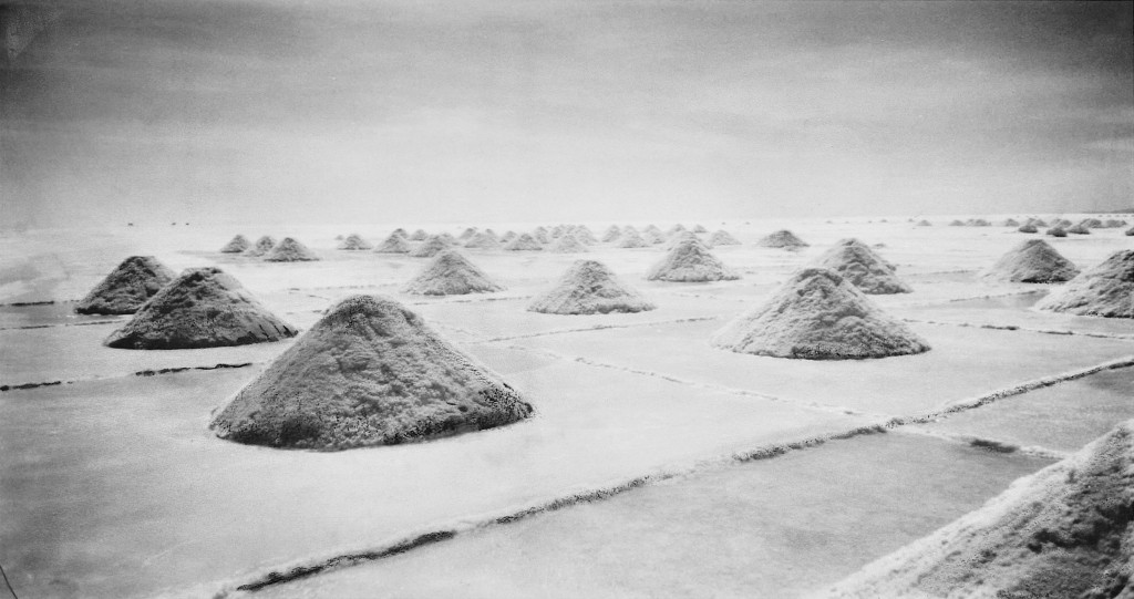 Isabelle levenez, Sans-titre3_2013_minedeplombsurpapier_90x135cm_V3