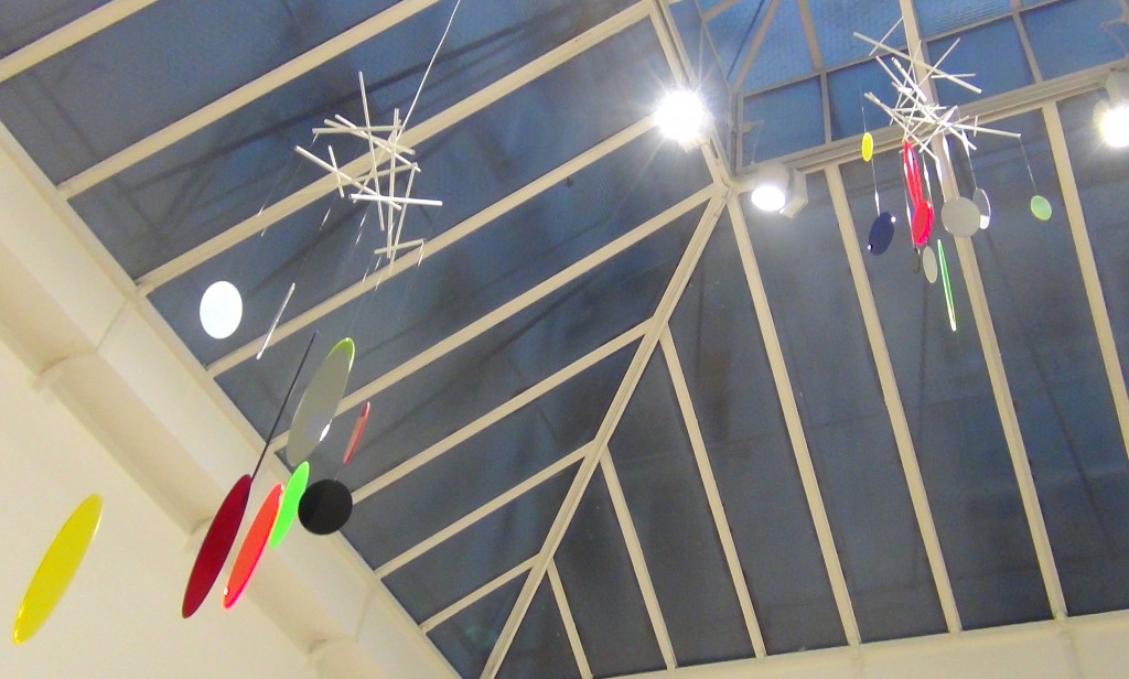 didier mencoboni, DSC01262