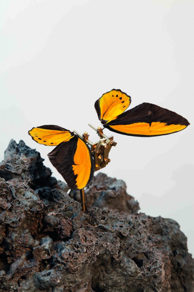 W18277VolcanicTransformationHD-detail