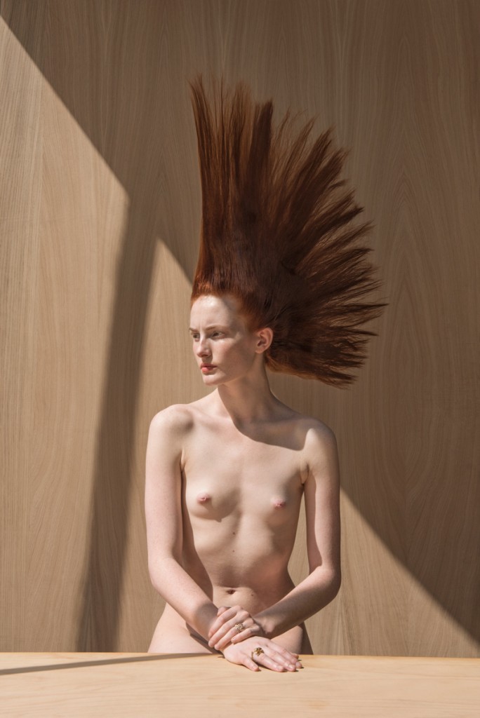 Isabelle Chapuis, Eloge du détail, 2016.