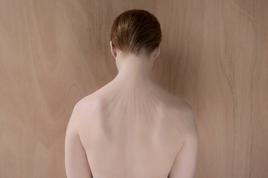 Isabelle Chapuis, Eloge du détail, 2016.